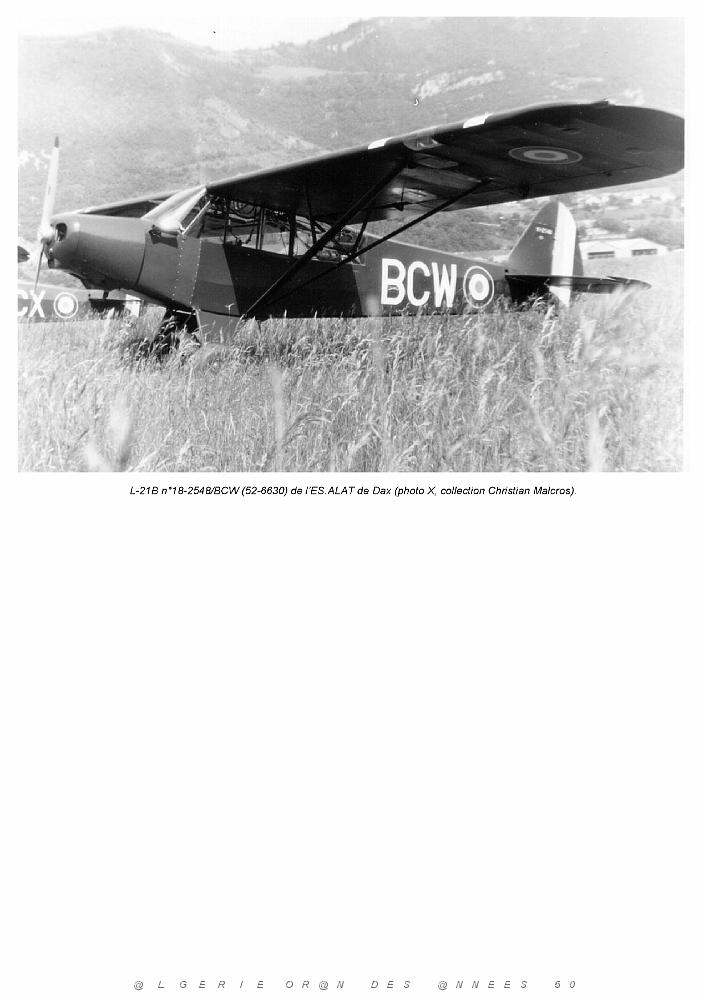 Piper L-21B_000023.jpg